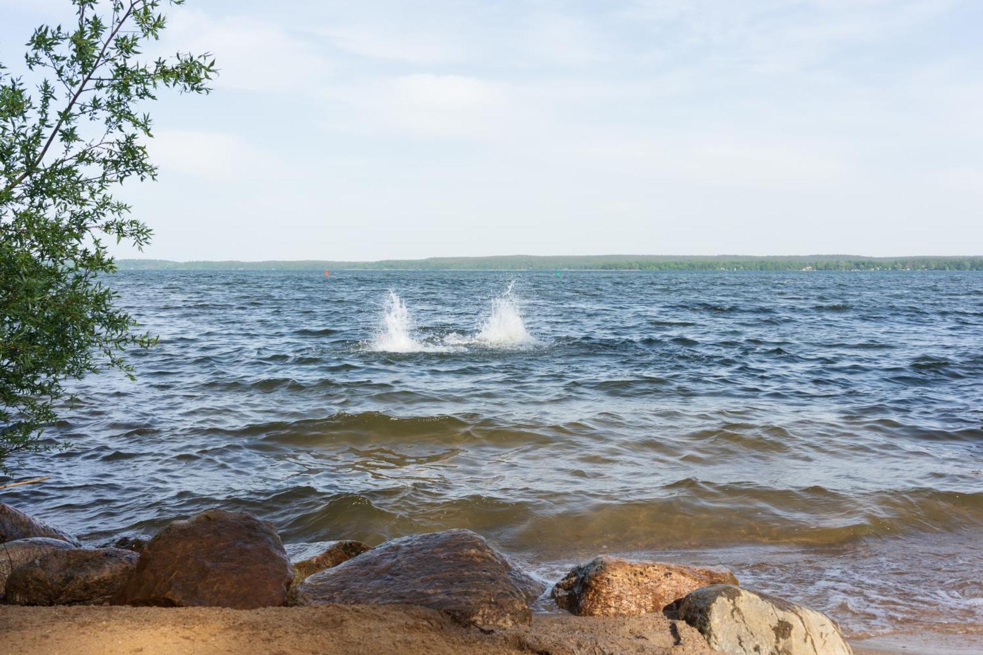 Plau Lagoons Lägenhet Plau am See Exteriör bild